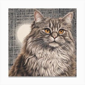 Grey Coon Cat Canvas Print