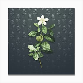 Vintage Gardenia Botanical on Slate Gray Pattern Canvas Print