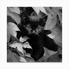 Black and White Black Cat In Leaves 3 Canvas Print