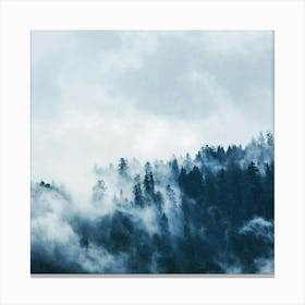 Misty Forest Canvas Print