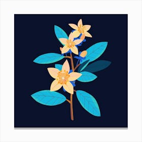 Jasmine Flower Canvas Print