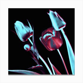 3d Tulips Canvas Print