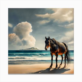 Horse On The Beach 2 Canvas Print