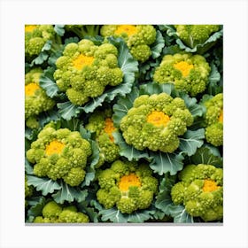 Florets Of Broccoli 6 Canvas Print