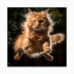 Cat In Flight Jump Canvas Print