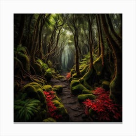 Mossy Forest Canvas Print