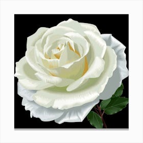 White Rose 2 Canvas Print