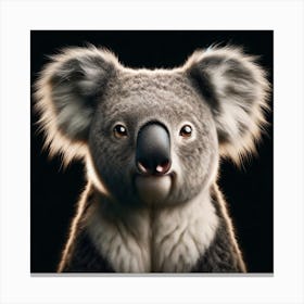 Koala portrait on black background 2 Canvas Print