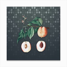 Vintage Peach Botanical on Slate Gray Pattern n.2042 Canvas Print