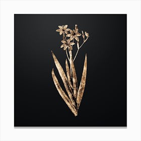 Gold Botanical Blackberry Lily on Wrought Iron Black Canvas Print