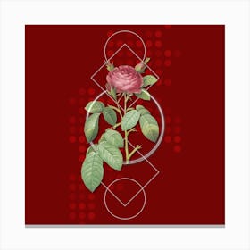 Vintage Red Gallic Rose Botanical with Geometric Line Motif and Dot Pattern n.0294 Canvas Print
