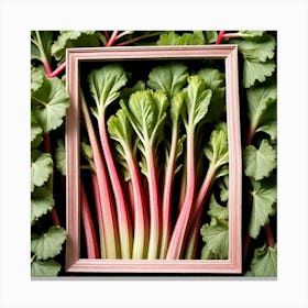 Rhubarb In A Frame 6 Canvas Print