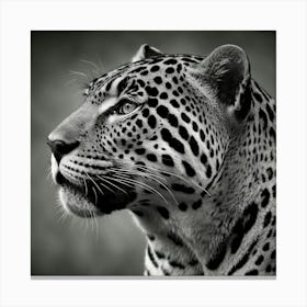 Leopard In Black And White Canvas Print