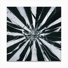 Black and White Abstract Art 196 Canvas Print