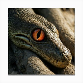 Crocodile Canvas Print