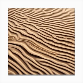 Sand Dune Texture 2 Canvas Print