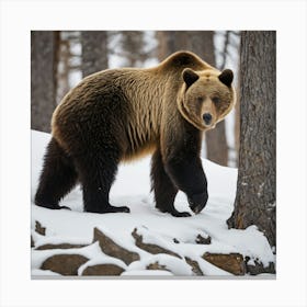 Grizzly Bear 7 Canvas Print