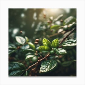 Green Leaves In The Forest Canvas Print