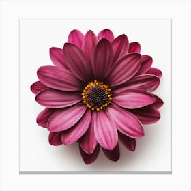 Purple Daisy Canvas Print