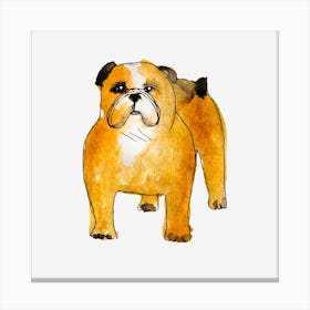 Bulldog Canvas Print