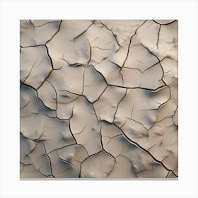 Cracked Sand 1 Canvas Print