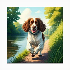 Springer Spaniel Running Canvas Print