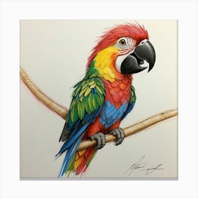 Colorful Parrot 54 Canvas Print