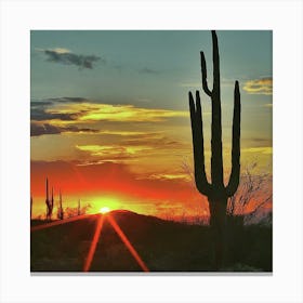 Sunset Over Saguaros Canvas Print