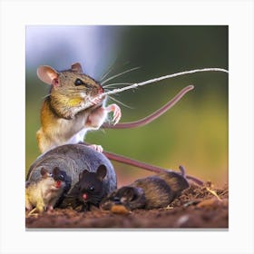 Family Of Mice Canvas Print