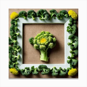 Broccoli In A Frame 20 Canvas Print