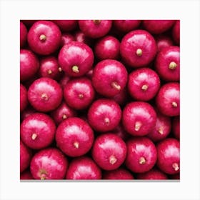 Red Radish Canvas Print