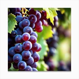 Grapes On The Vine 25 Canvas Print