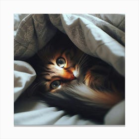 Cat Peeking Out From Under Blanket Canvas Print