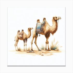 Camels 3 Canvas Print