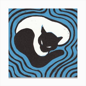 Cat On A Mat 2 Canvas Print