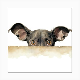 Xoloitzcuintli Dog 3 Canvas Print