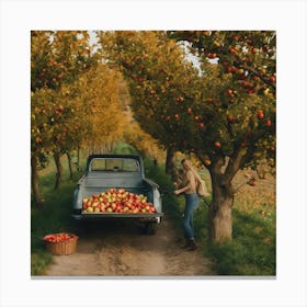 Apple Orchard Canvas Print