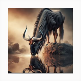 Wildebeest 1 Canvas Print