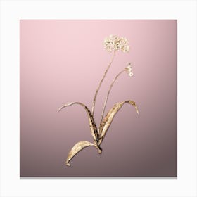 Gold Botanical Spring Garlic on Rose Quartz n.0170 Canvas Print