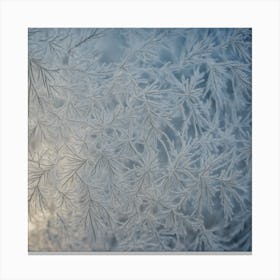 Frosty Window Canvas Print