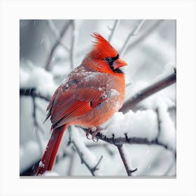 Cardinal In The Snow 4 Canvas Print