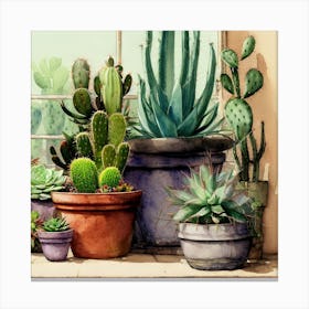 Cacti And Succulents 21 Canvas Print