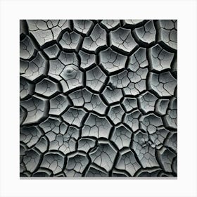 Cracked Concrete Texture Canvas Print