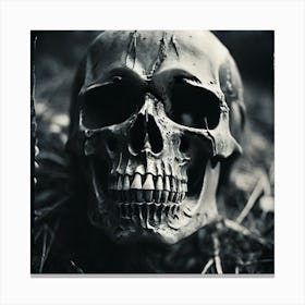 Skull In The Grass Canvas Print