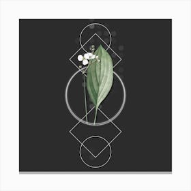Vintage Bulltongue Arrowhead Botanical with Geometric Line Motif and Dot Pattern Canvas Print
