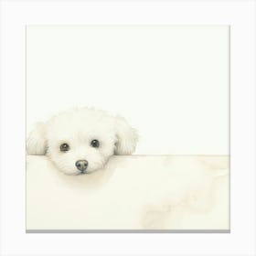 White Dog Peeking Over A Wall Canvas Print