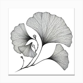 Line Art gingko leaves 1 Canvas Print