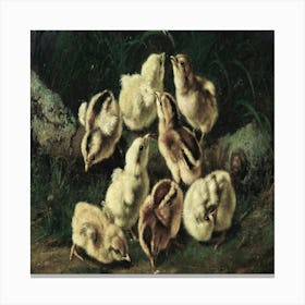 Chicks Canvas Print