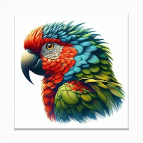 Parrot 1 Canvas Print