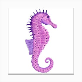 Seahorse Canvas Print